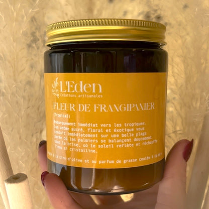 Bougie Fleur de Frangipanier